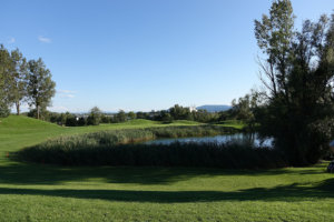 DSC05074